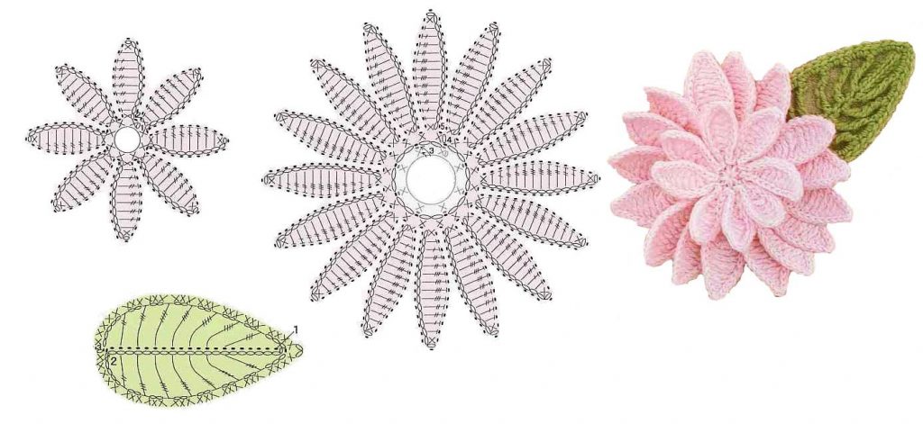 Daisy rose free crochet pattern flower diagram